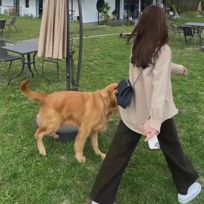 历物语